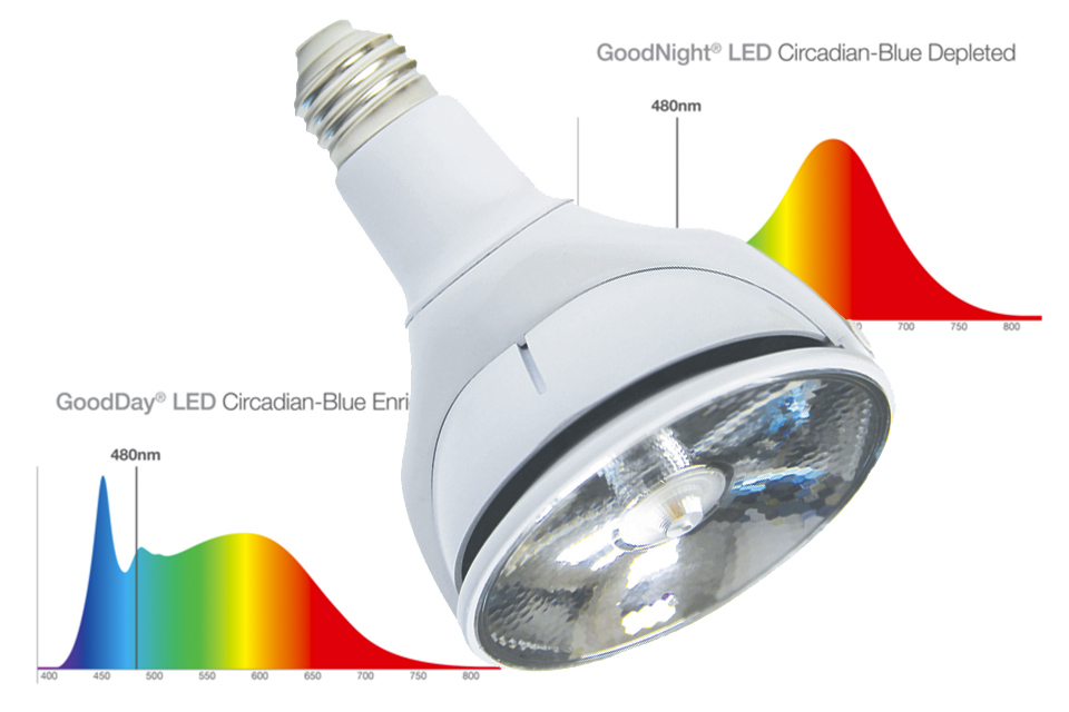 Lighting science's good night sales biological led lamp